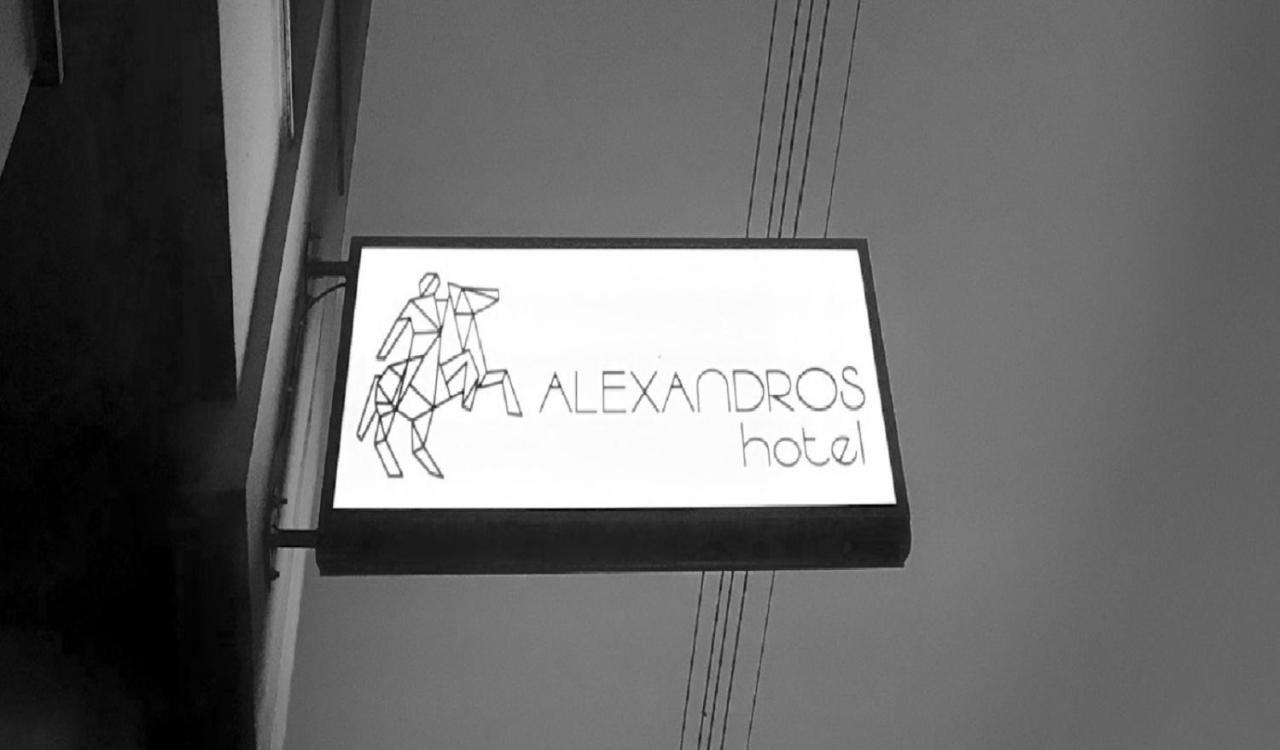 ホテル Alexandros ヤニツァ エクステリア 写真